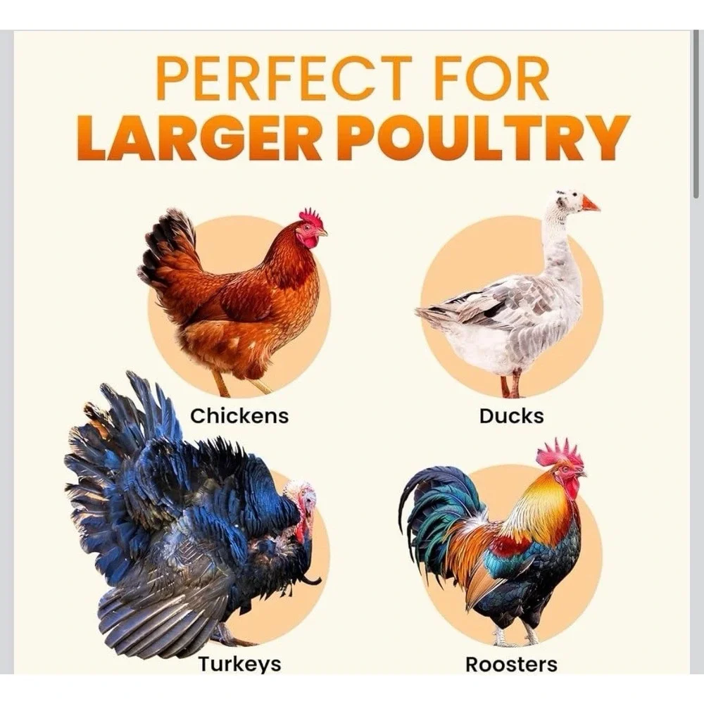 Extra Large Automatic Chicken Coop Door Solar Powered with Remote - LCD Display,